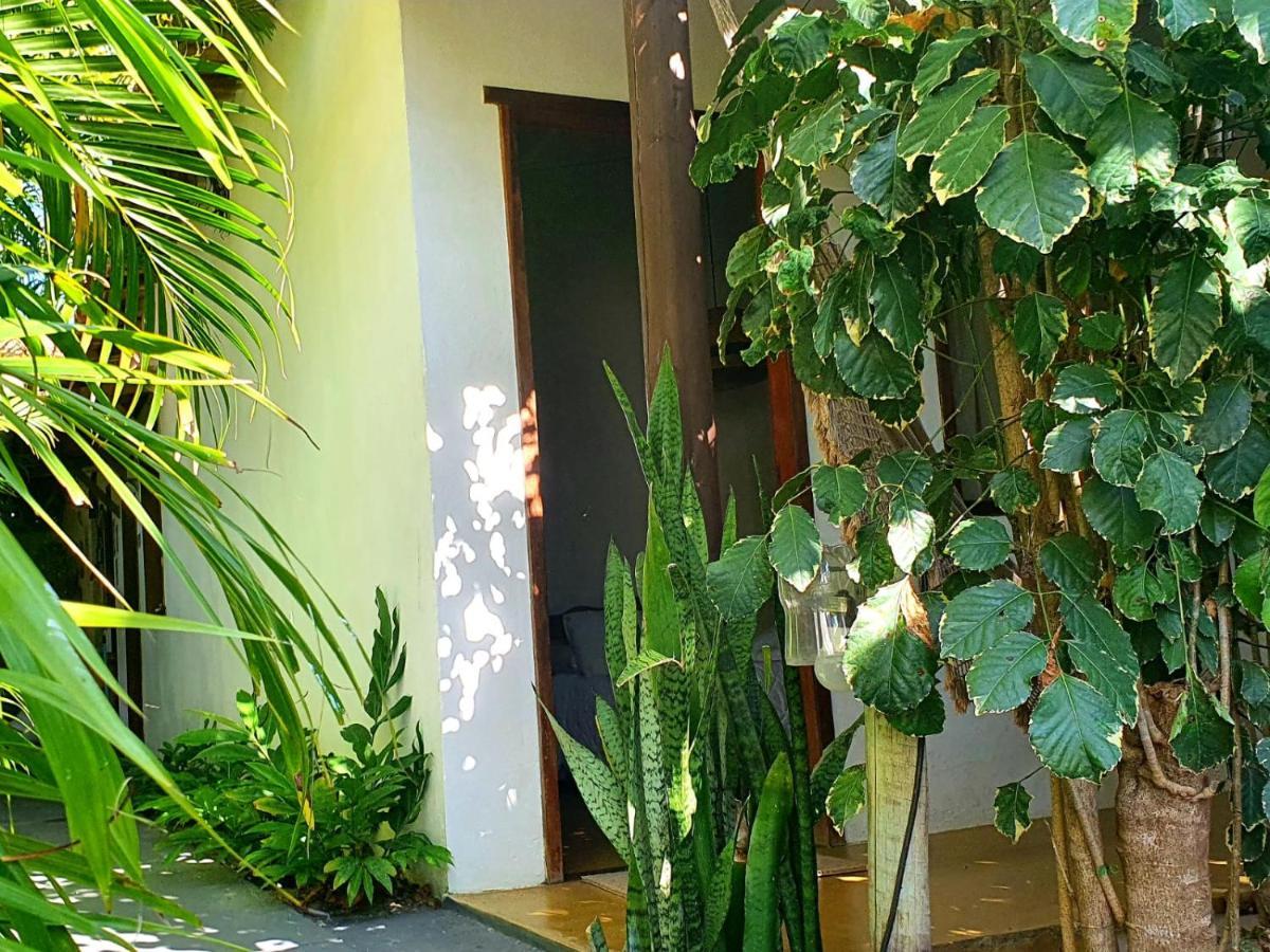 Corais Do Sul Inn Caraíva