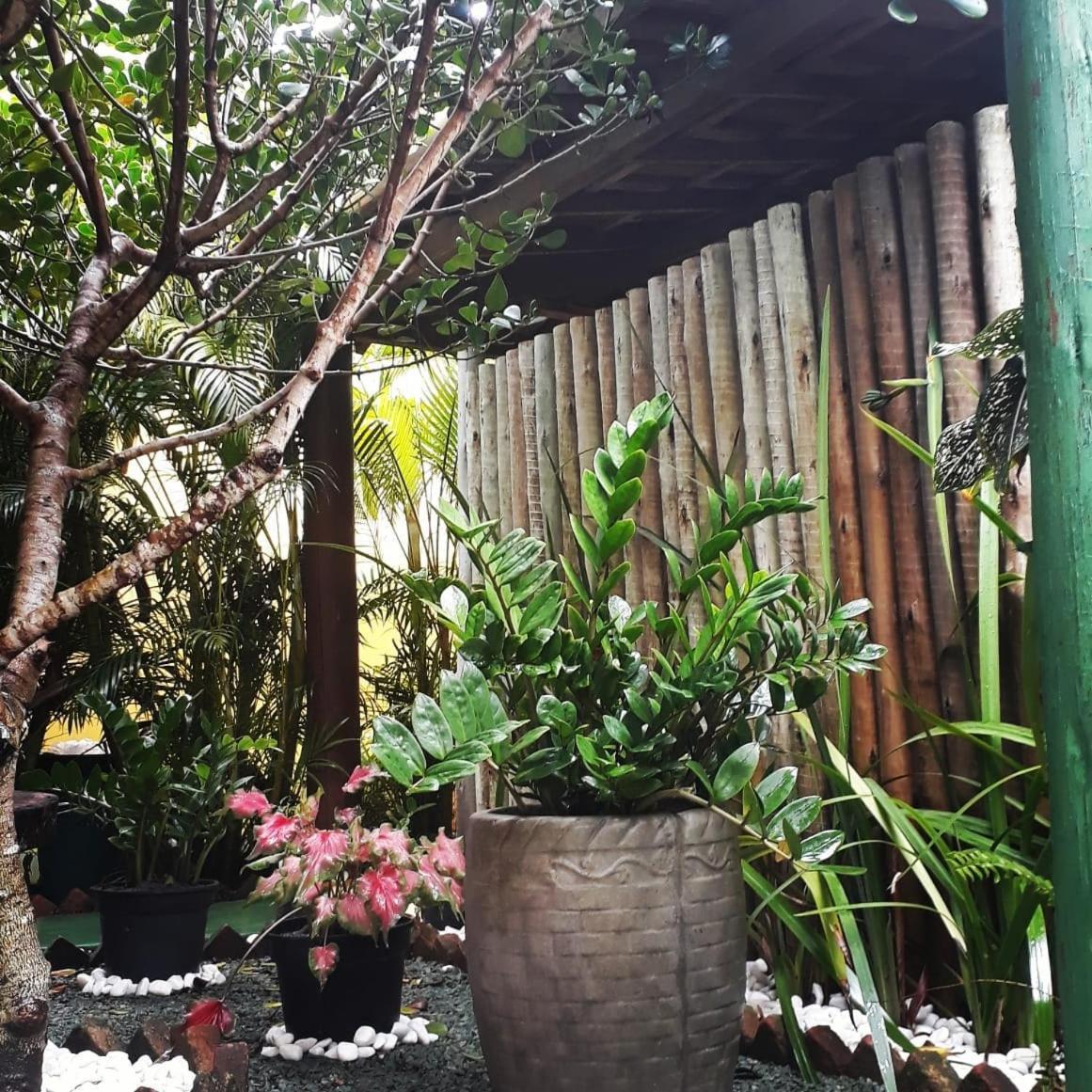 Corais Do Sul Inn